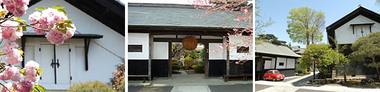 �ΐ�𑢎Г����i